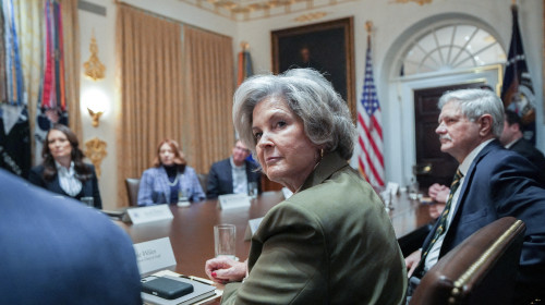 Susie Wiles/ Profimedia