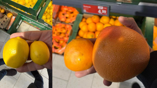 Șeful ANPC susține că portocalele și lămâile din supermarketurile din România sunt „furaj animalier”/ Foto: Facebook