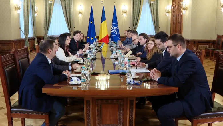 nicusor dan si magistratii