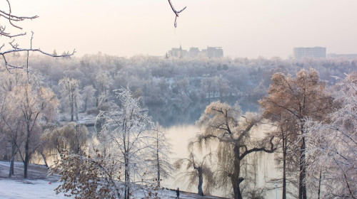 Winter landscape by the lake