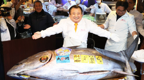 510 million yen bluefin tuna is dispalyed at a sush restaurant