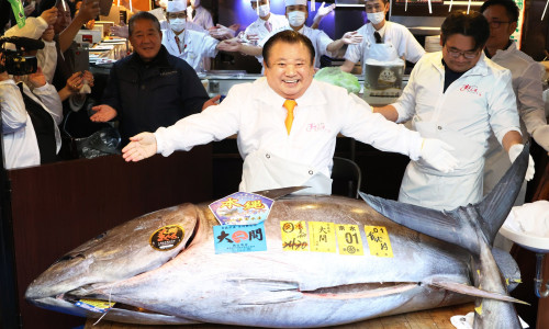 510 million yen bluefin tuna is dispalyed at a sush restaurant