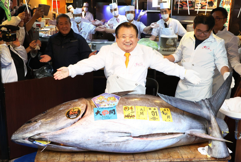 510 million yen bluefin tuna is dispalyed at a sush restaurant