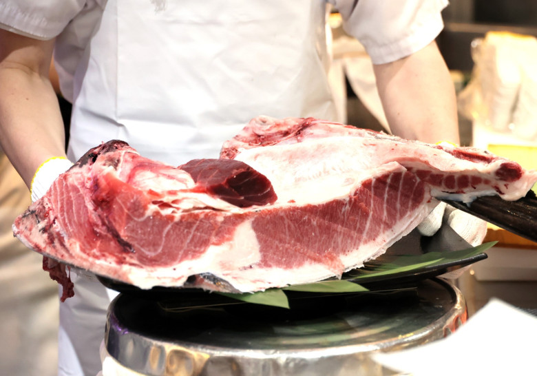 510 million yen bluefin tuna is dispalyed at a sush restaurant