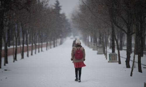 Calm In Bucharest As Thousands Call For Government To Step Down