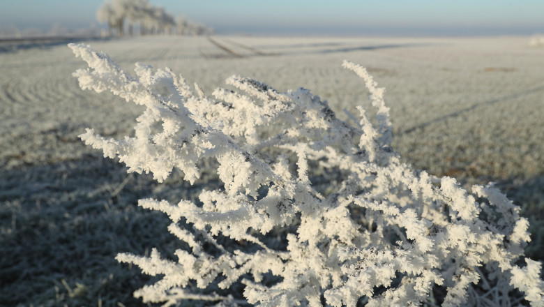 Overnight Frost Creates Winter Landscape
