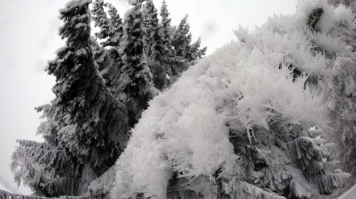 Freezing Temperature Hit Germany