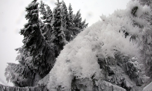 Freezing Temperature Hit Germany