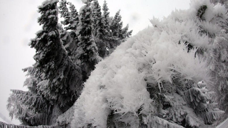 Freezing Temperature Hit Germany