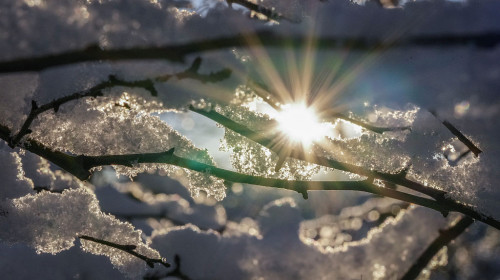 Ger, iarnă, prognoza meteo