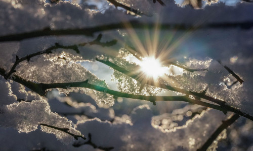 Ger, iarnă, prognoza meteo
