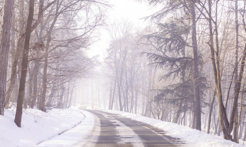 zapada, padure, ger, iarna