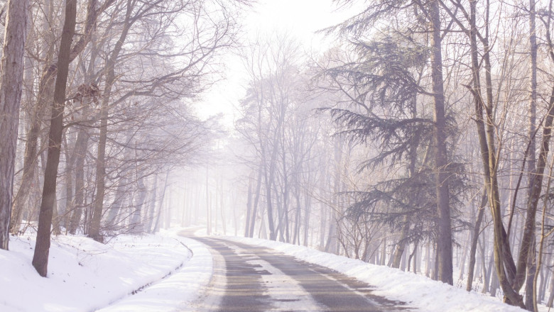 zapada, padure, ger, iarna