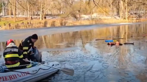 un asiatic a salvat o fetita de la inec in craiova