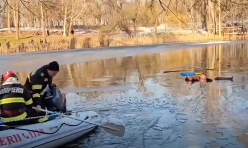 un asiatic a salvat o fetita de la inec in craiova