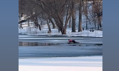 cetatean asiatic a salvat o fetita din craiova