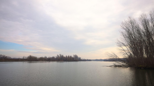 River bordered by bare trees of a forest, on a cloudy day in the italian countryside