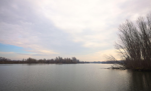 River bordered by bare trees of a forest, on a cloudy day in the italian countryside