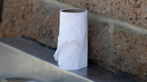 O școală din Austria a interzis hârtia igienică din toalete/ Profimedia