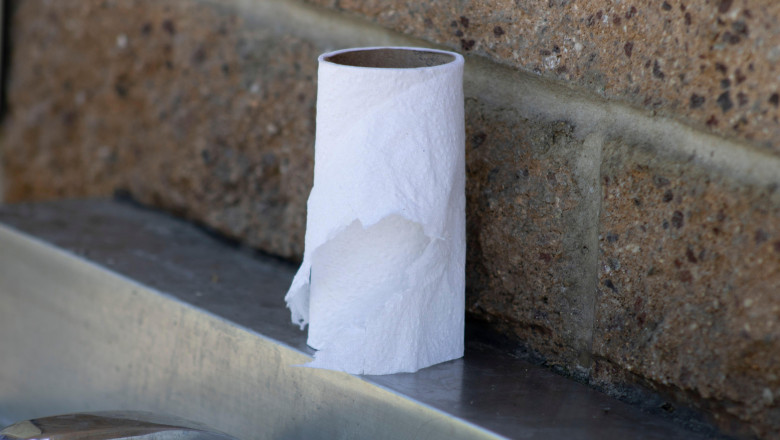 O școală din Austria a interzis hârtia igienică din toalete/ Profimedia