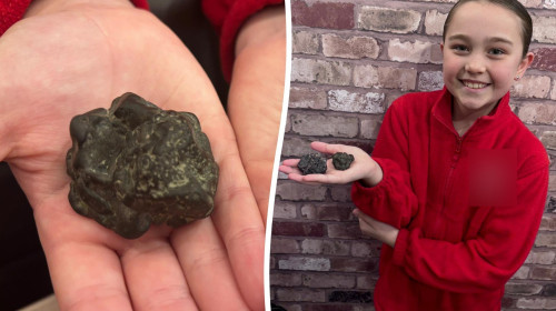 O fetiță de 9 ani a găsit o bucată de meteorit pe plajă