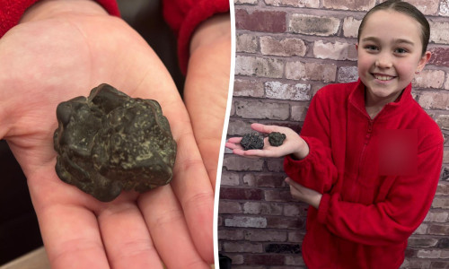 O fetiță de 9 ani a găsit o bucată de meteorit pe plajă