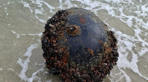 mina marina pe plaja