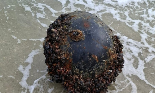 mina marina pe plaja