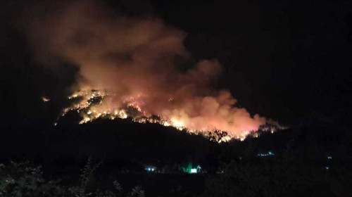 Incendii de pădure în Patagonia argentiniană/ Foto X
