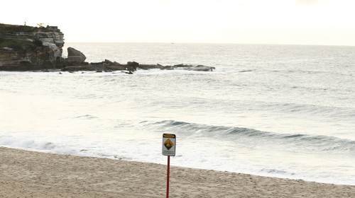 Hawthorn Hawks Media Opportunity