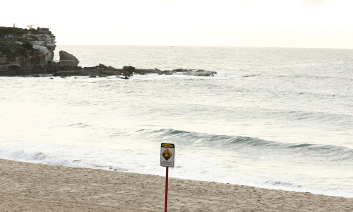 Hawthorn Hawks Media Opportunity