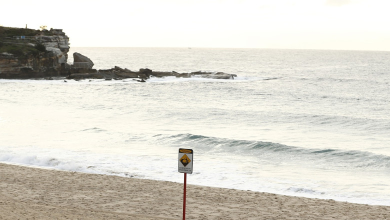 Hawthorn Hawks Media Opportunity