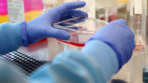 Eisbach Bio Seeks Cure For Covid-19 Through Protein Targeting