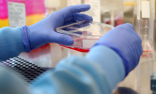 Eisbach Bio Seeks Cure For Covid-19 Through Protein Targeting