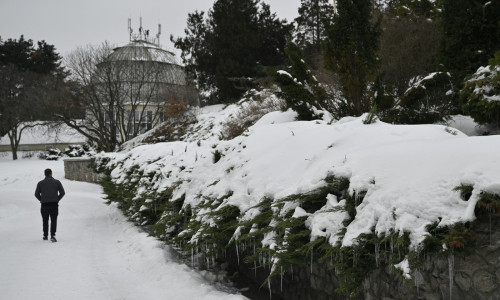 iarna, vremea, meteo