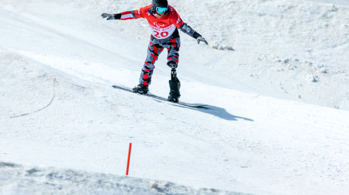 Mihăiţă Papară/ Profimedia