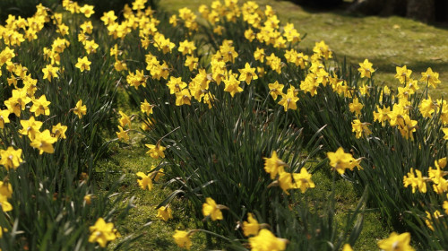 Sunny Weather Welcomes The Spring Equinox In The UK