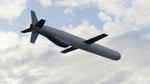 Rachete de croazieră/ Profimedia