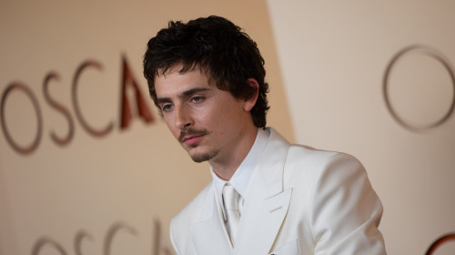 Timothée Chalamet/ Profimedia