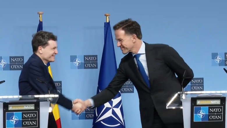 nicusor dan si mark rutte