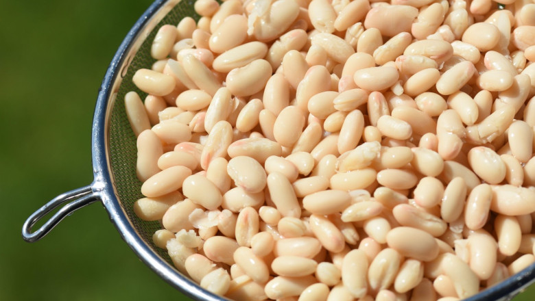white beans washed in colander