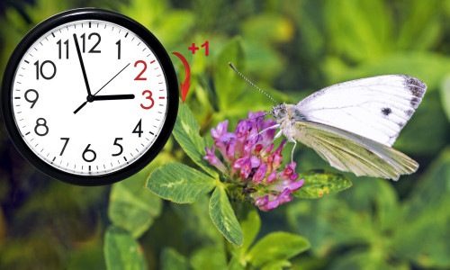 Daylight Saving Time. DST. Wall Clock going to winter time. Turn time forward. Abstract photo of changing time at spring.