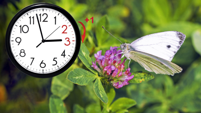 Daylight Saving Time. DST. Wall Clock going to winter time. Turn time forward. Abstract photo of changing time at spring.