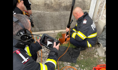 Catelusi salvati de pompieri la Deva