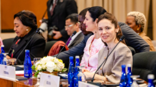 Mirabela GRadinaru in SUA6