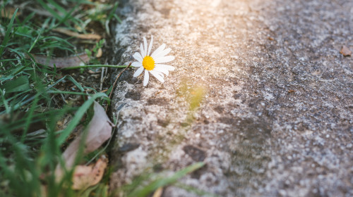 vremea, meteo, primavara