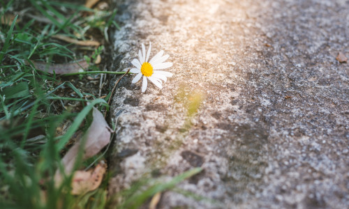 vremea, meteo, primavara