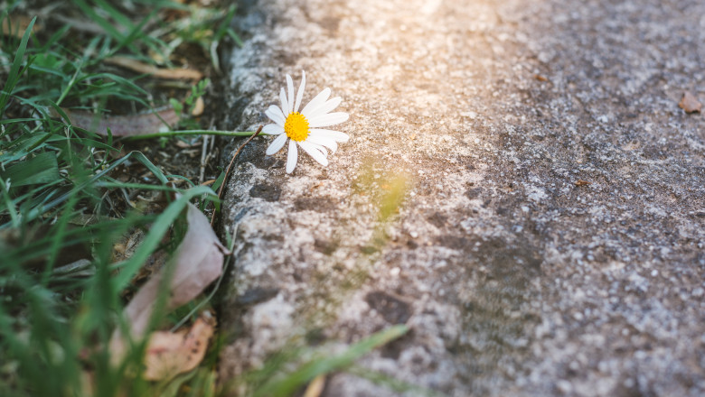 vremea, meteo, primavara