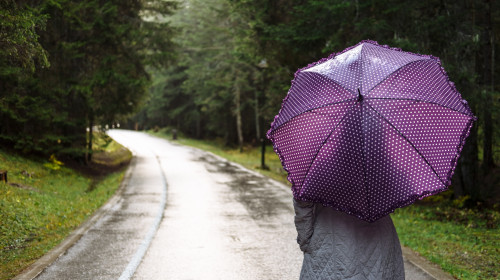 vremea, meteo, ploaie, vreme ploioasa
