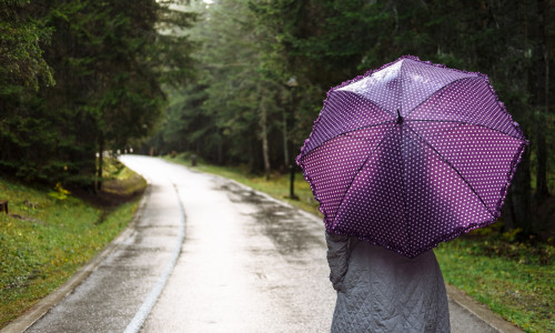 vremea, meteo, ploaie, vreme ploioasa